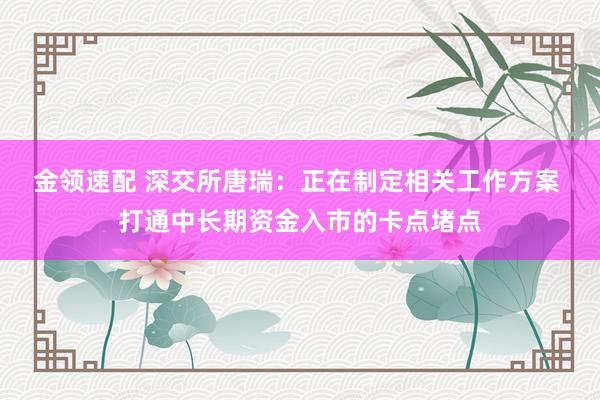 金领速配 深交所唐瑞：正在制定相关工作方案 打通中长期资金入市的卡点堵点