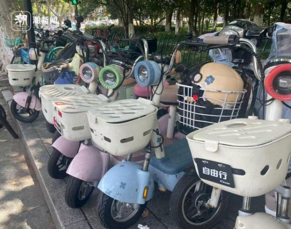 珺牛策略 10分钟扣费236 女子在西湖边遭遇电瓶车“价格刺客”