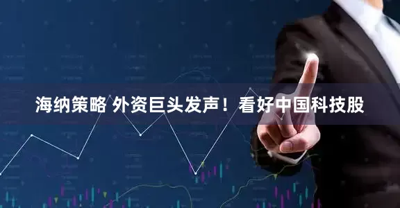 海纳策略 外资巨头发声！看好中国科技股